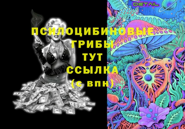 apvp Горняк