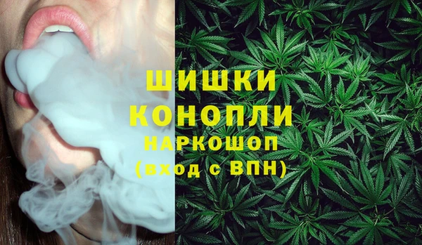 бошки Горнозаводск