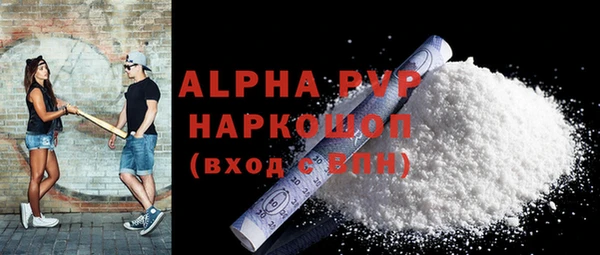 стаф Вяземский