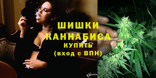 стаф Вяземский
