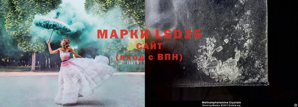 стаф Вяземский
